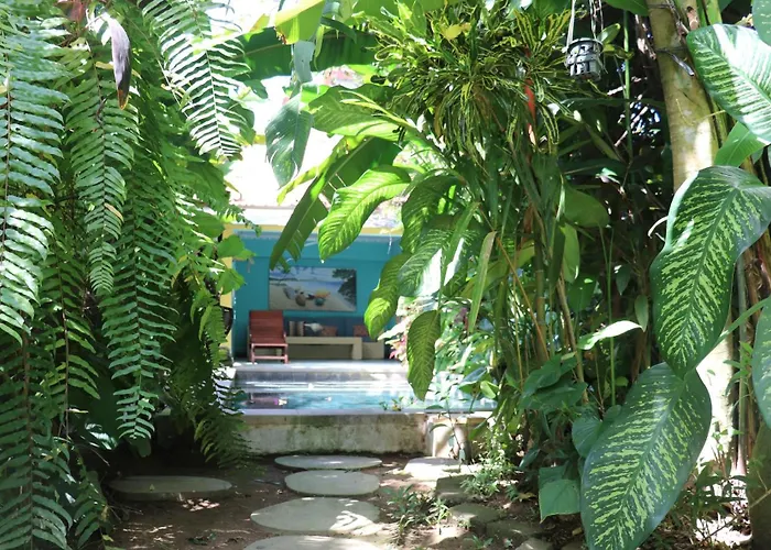 Orchid House