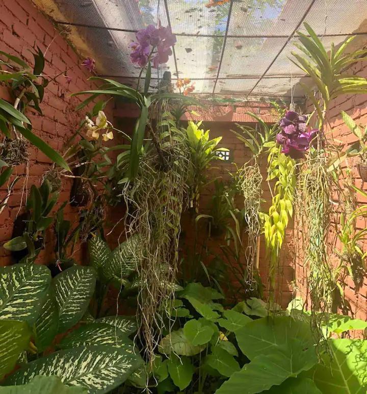 Orchid House Apartemen *