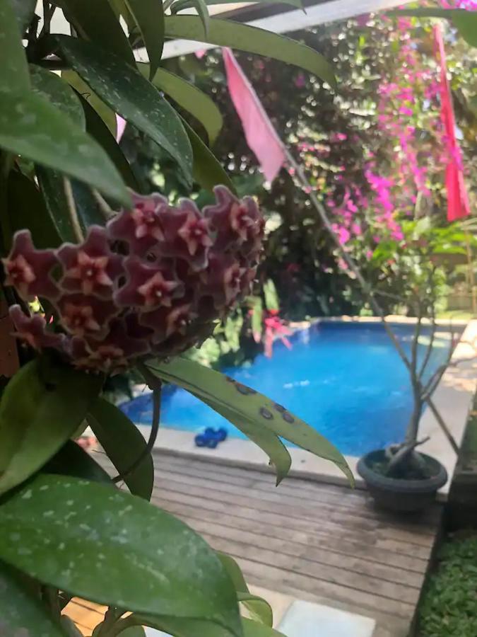 Apartemen Orchid House Blahbatu